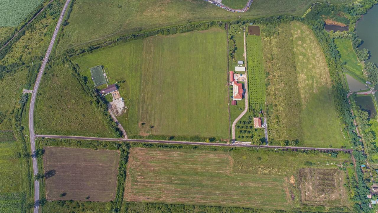 Stejarii Resort Ineu  Eksteriør billede